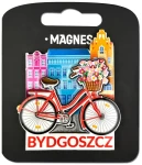 Magnes rower